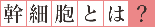 幹細胞とは?